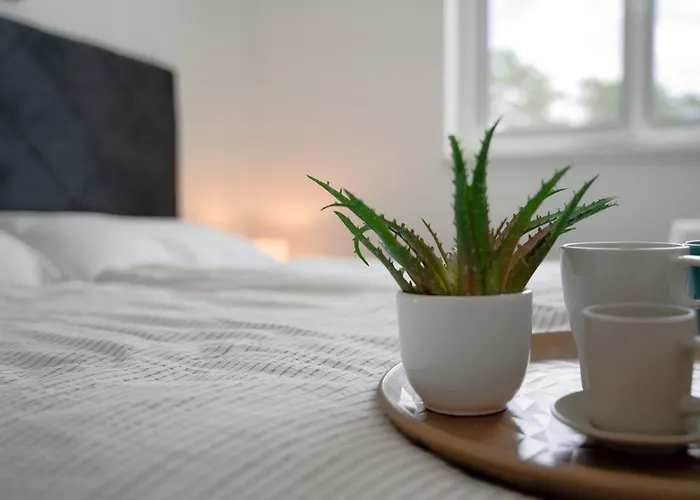 Apartamento Sobol 